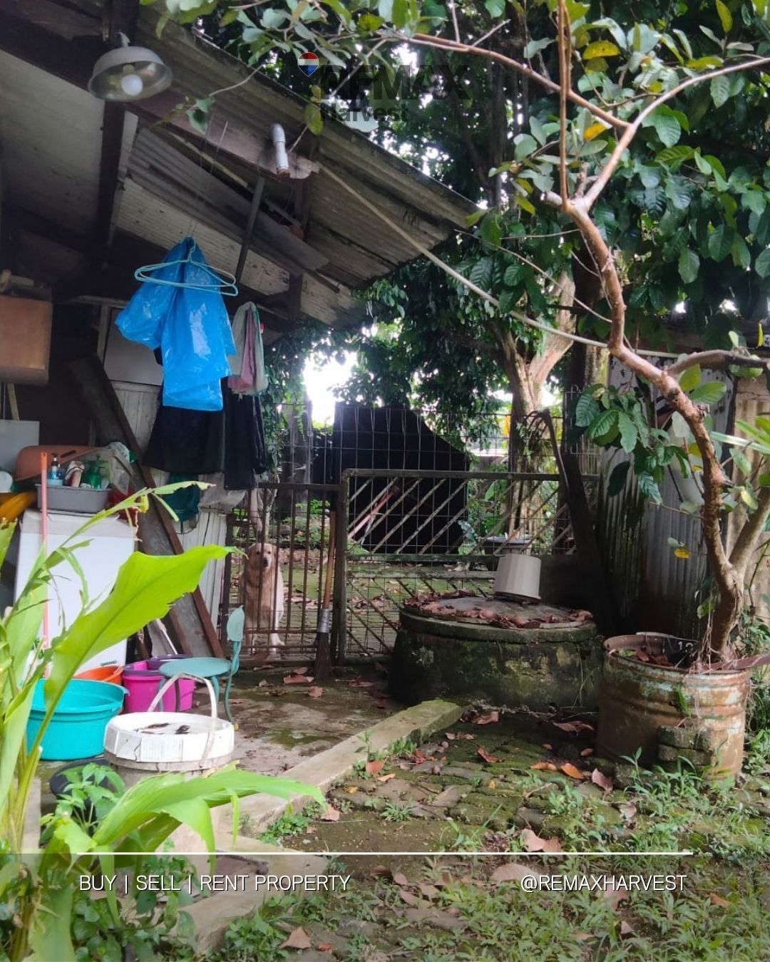 Rumah Tanah Kebun Luas Pakuan Bogor Selatan 4