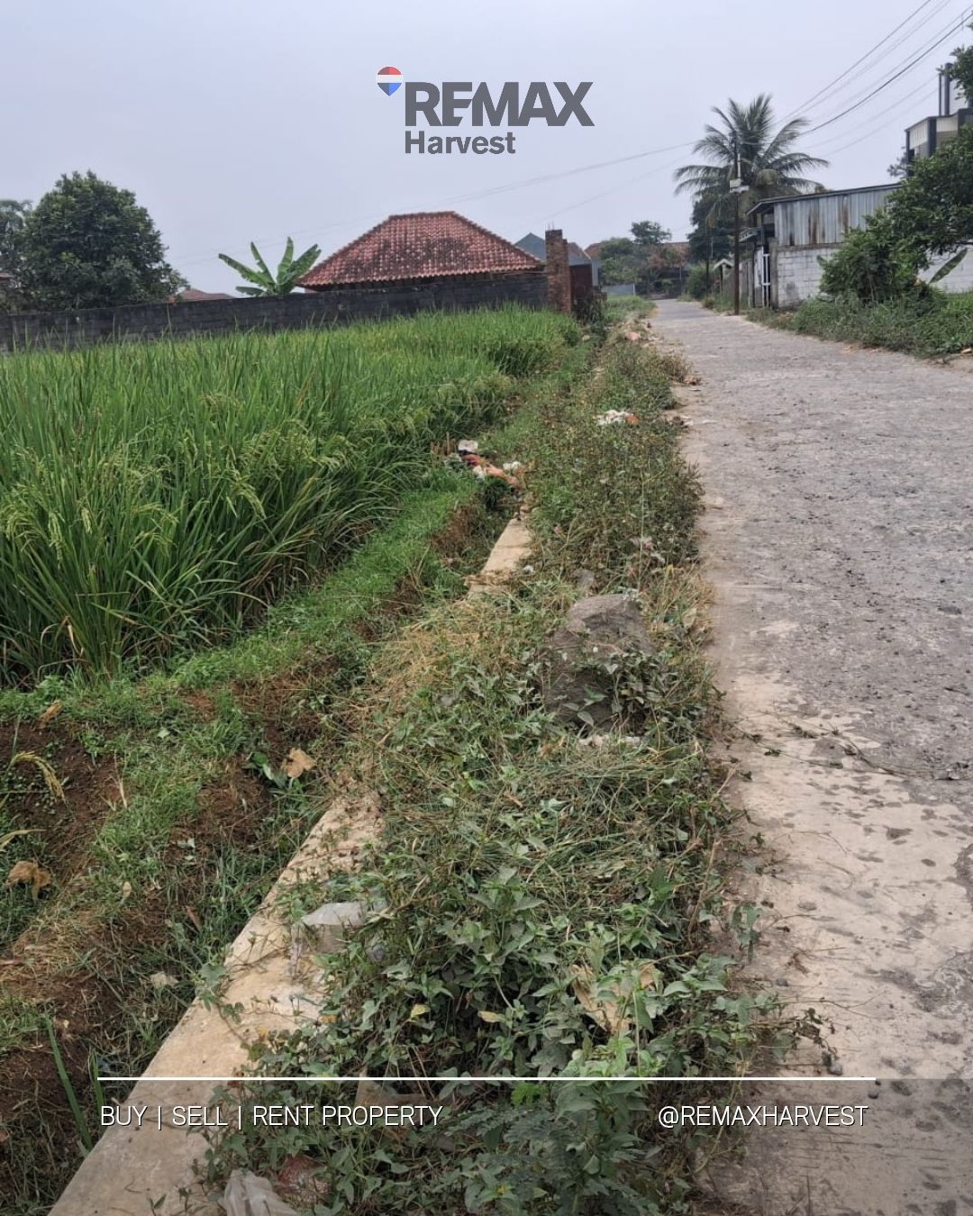 Tanah Sawah Babakan Sukabumi 2