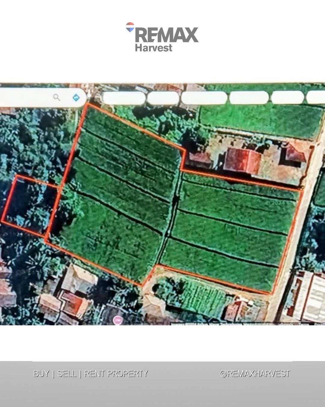 Tanah Sawah Babakan Sukabumi 4